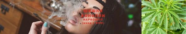 хмурый Костерёво