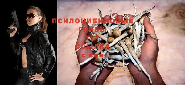 хмурый Костерёво