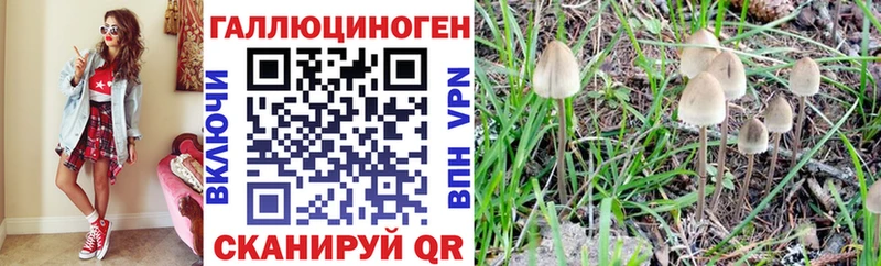 Псилоцибиновые грибы ЛСД  Михайловка 